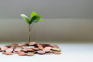 Financial future